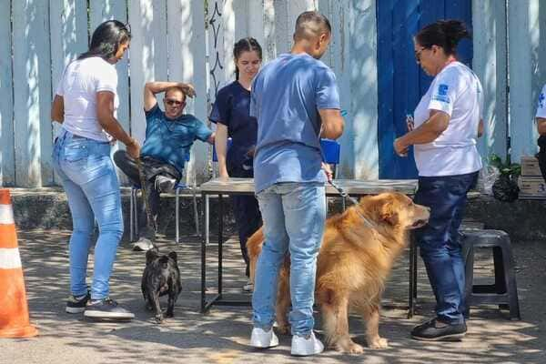 Vacinação antirrábica imuniza 46 mil cães e gatos em Contagem