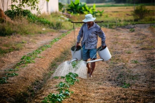 Contagem faz mapeamento de produtores agropecuários