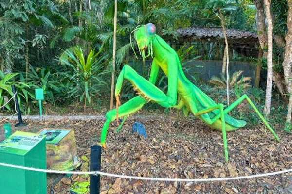 Exposição interativa Natureza Gigante chega a Contagem