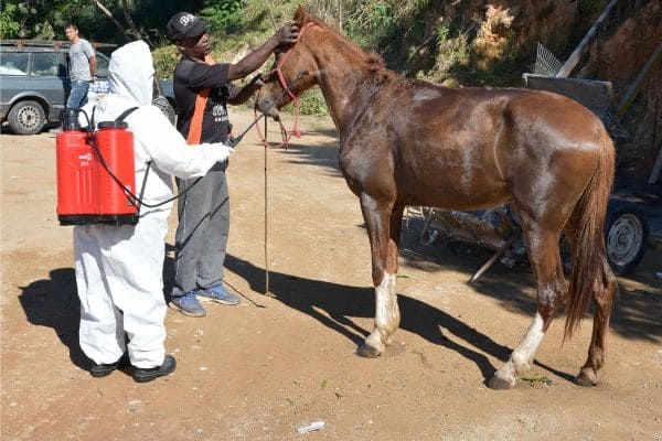 Sobem para 52 os casos prováveis de febre maculosa em Contagem