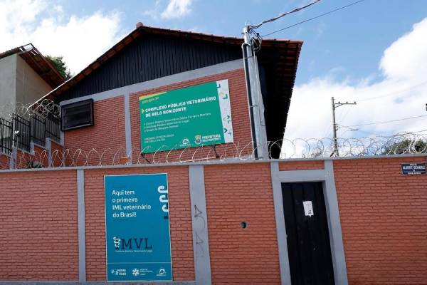 PBH anuncia novo Hospital Veterinário 24h para 2025 e outras iniciativas inéditas