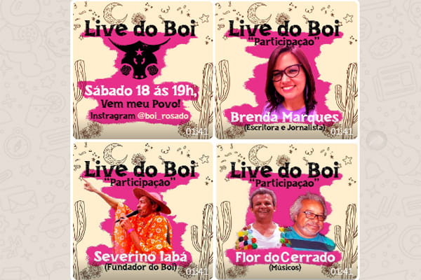 Live do Boi, meio ambiente e cultura