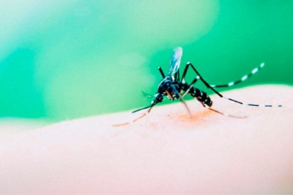 Dengue: Contagem tem 1.276 casos prováveis