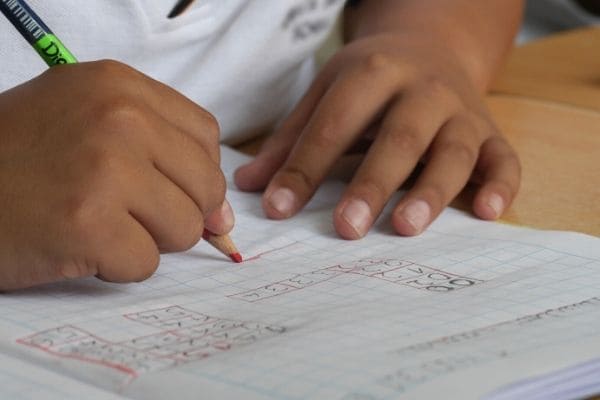 Cadastro Escolar para o ensino fundamental tem início no dia 3