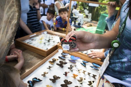 Inhotim oferece visita temática ambiental e artística durante o feriado