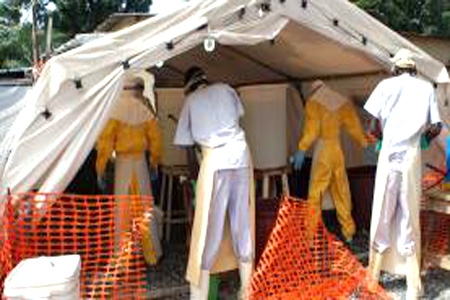 OMS aprova uso de tratamentos experimentais no combate ao ebola